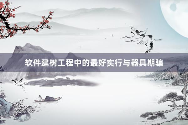 软件建树工程中的最好实行与器具期骗